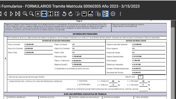 Figura 2. Formulario RUES para la renovación de la matrícula mercantil del Instituto de Liderazgo Público para el año 2023, con los resultados del ejercicio del año 2022. Fuente: Cámara de Comercio de Bogotá