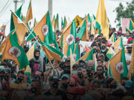 Las luchas campesinas en Colombia, un ejemplo de resistencia y dignidad